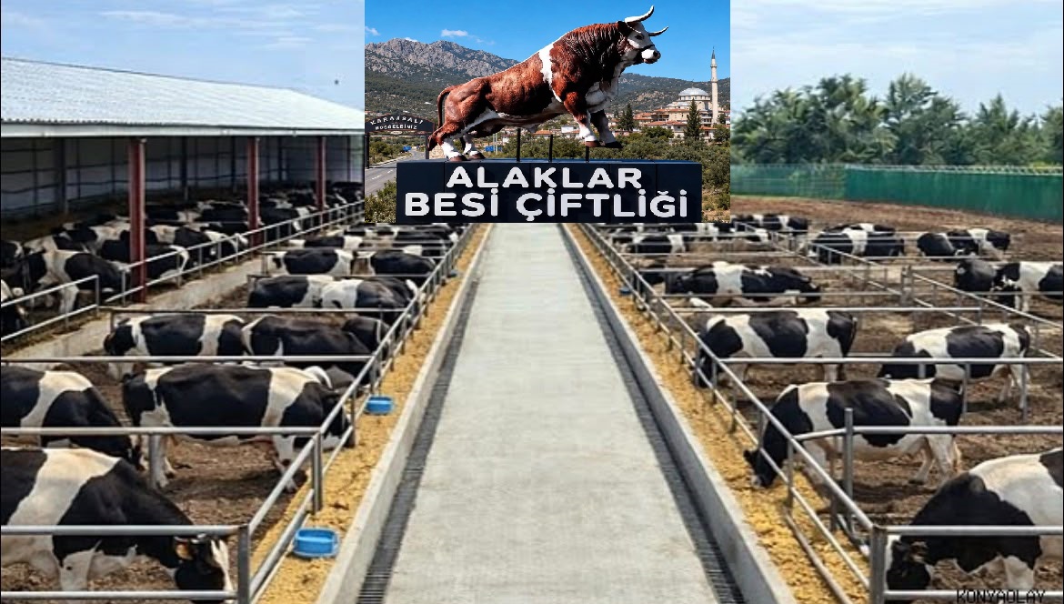 Alaklar Besi Çiftliği Bölgenin En Modern Çiftliği Olacak